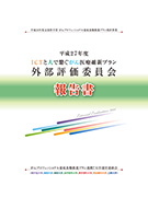 外部評価委員会プログラム